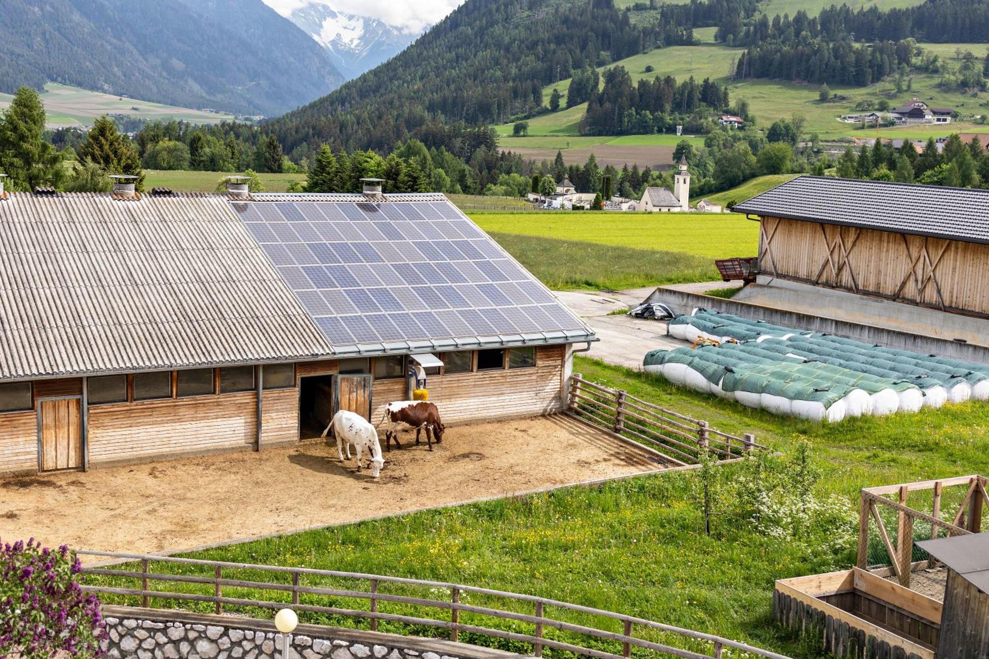 Oberhoelzlhof Valdaora di Sopra Dış mekan fotoğraf